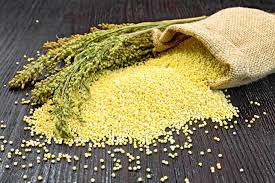 Proso: nutritivne vrijednosti